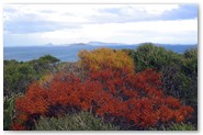 Rotary Lookout, Esperance